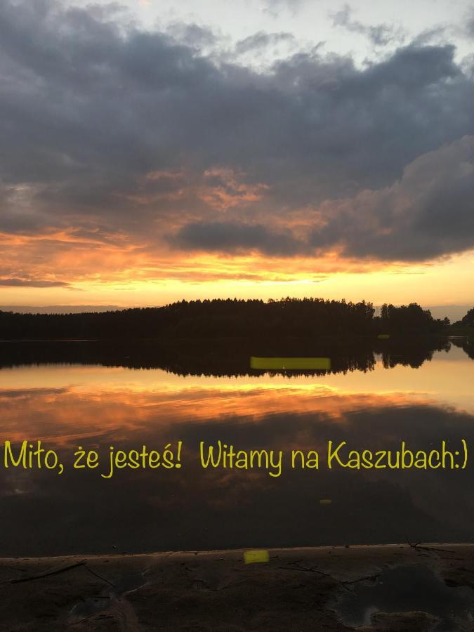 Willa Kamień na Kaszubach Zewnętrze zdjęcie